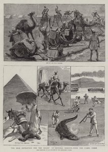 La expedición del Nilo para el alivio del General Gordon, con el Cuerpo de Camellos